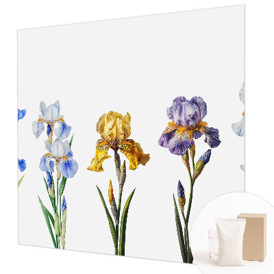 Tapet foto pe vlies Hartă istorică