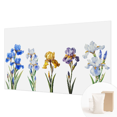 Tapet foto pe vlies Hartă istorică