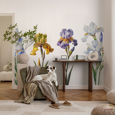 Tapet foto pe vlies Hartă istorică