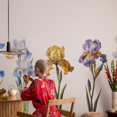 Tapet foto pe vlies Hartă istorică