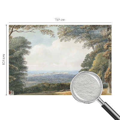 Fototapet decorativ pe perete Pești colorați