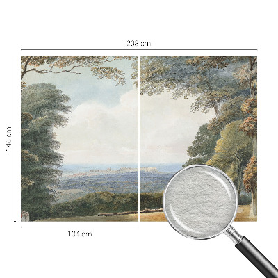 Fototapet decorativ pe perete Pești colorați