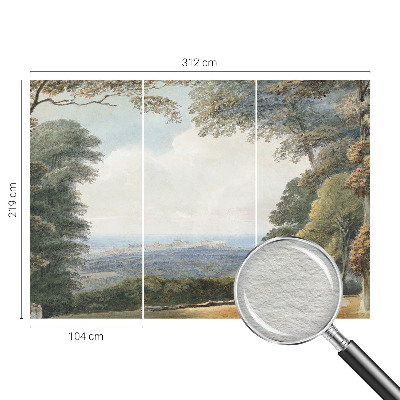 Fototapet decorativ pe perete Pești colorați