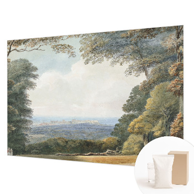 Fototapet decorativ pe perete Pești colorați