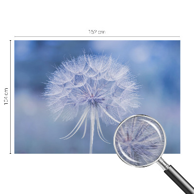 Fototapet vlies pe perete Diagrama cosmică