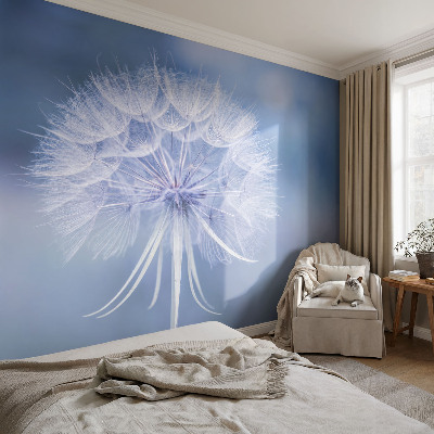 Fototapet vlies pe perete Diagrama cosmică