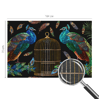 Fototapet modern Påfugl billede