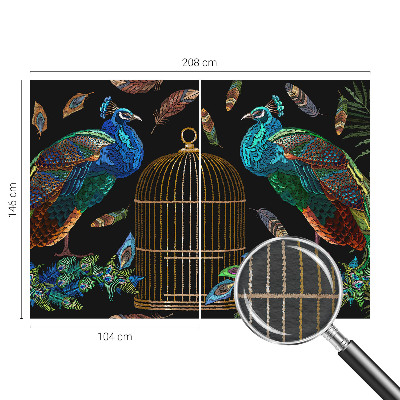 Fototapet modern Påfugl billede