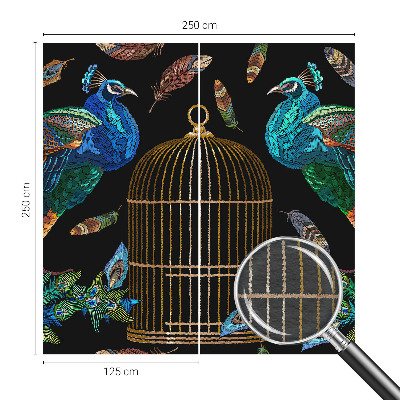 Fototapet modern Påfugl billede