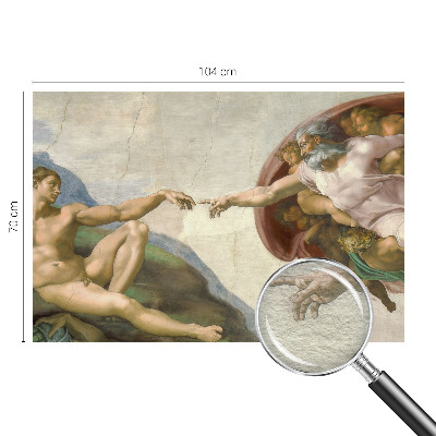 Fototapet vlies Câmp de grâu