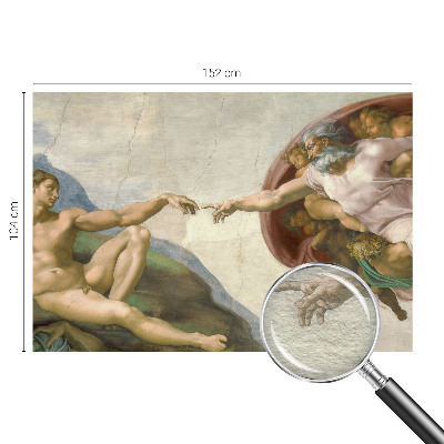 Fototapet vlies Câmp de grâu