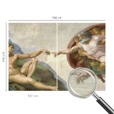 Fototapet vlies Câmp de grâu