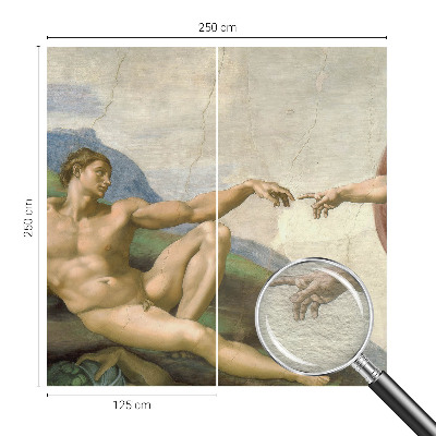 Fototapet vlies Câmp de grâu