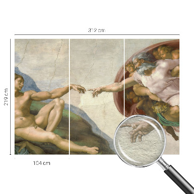 Fototapet vlies Câmp de grâu