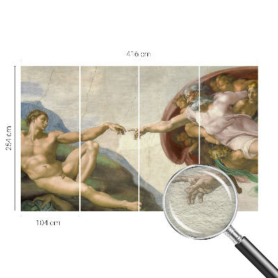 Fototapet vlies Câmp de grâu