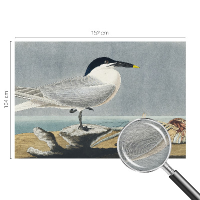 Fototapet modern la comandă Ornitologisk elegance