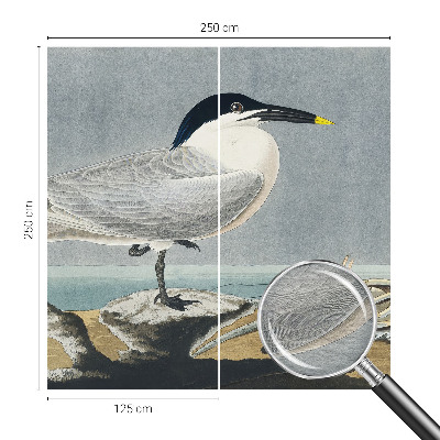 Fototapet modern la comandă Ornitologisk elegance