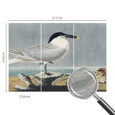 Fototapet modern la comandă Ornitologisk elegance