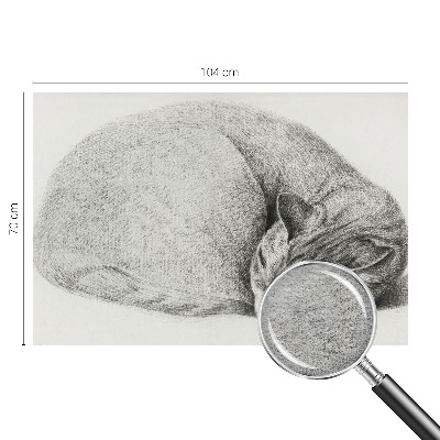 Fototapet vlies pe perete O pasăre pe o creangă