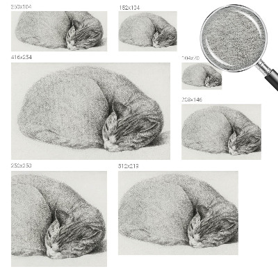 Fototapet vlies pe perete O pasăre pe o creangă