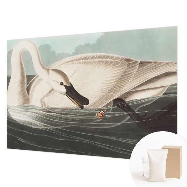 Fototapet vlies pentru dormitor Case cu chiparos