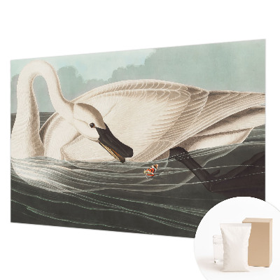 Fototapet vlies pentru dormitor Case cu chiparos