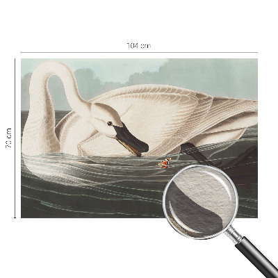 Fototapet vlies pentru dormitor Case cu chiparos