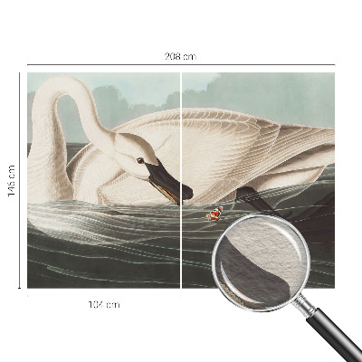 Fototapet vlies pentru dormitor Case cu chiparos