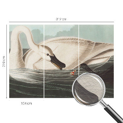 Fototapet vlies pentru dormitor Case cu chiparos