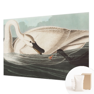 Fototapet vlies pentru dormitor Case cu chiparos