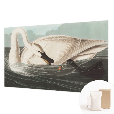 Fototapet vlies pentru dormitor Case cu chiparos