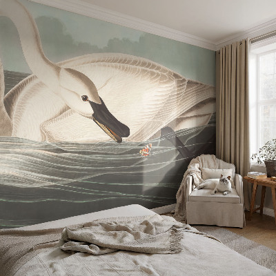 Fototapet vlies pentru dormitor Case cu chiparos