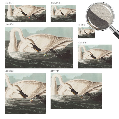 Fototapet vlies pentru dormitor Case cu chiparos