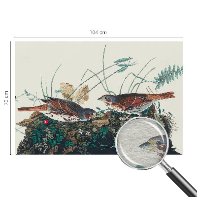 Fototapet vlies pentru copii Pădure de mesteacăn