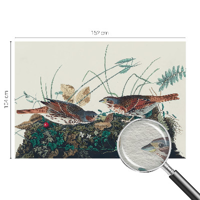 Fototapet vlies pentru copii Pădure de mesteacăn