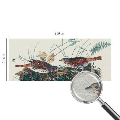 Fototapet vlies pentru copii Pădure de mesteacăn