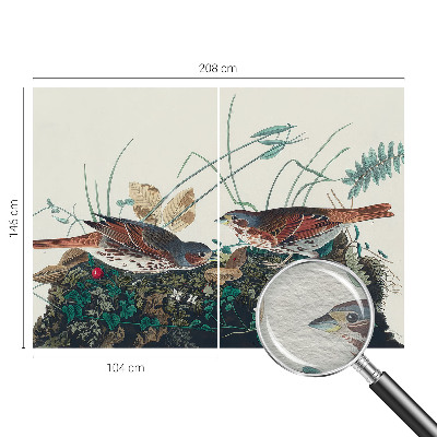 Fototapet vlies pentru copii Pădure de mesteacăn