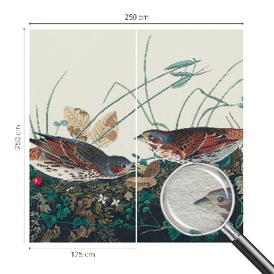 Fototapet vlies pentru copii Pădure de mesteacăn