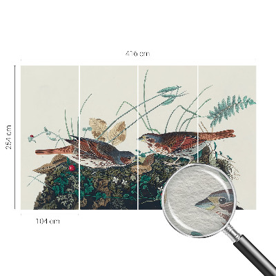 Fototapet vlies pentru copii Pădure de mesteacăn