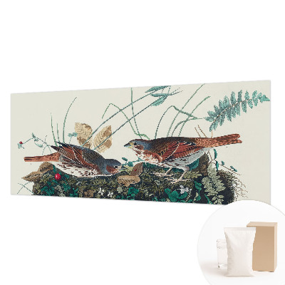 Fototapet vlies pentru copii Pădure de mesteacăn