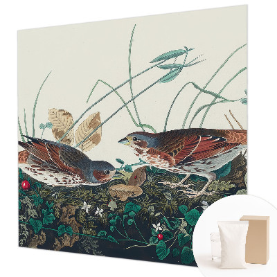 Fototapet vlies pentru copii Pădure de mesteacăn