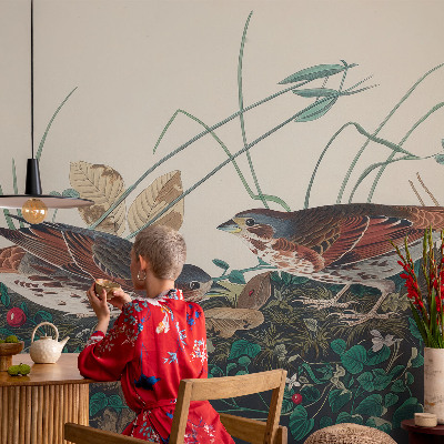 Fototapet vlies pentru copii Pădure de mesteacăn