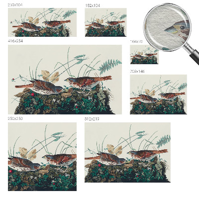 Fototapet vlies pentru copii Pădure de mesteacăn