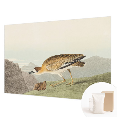 Fototapet pe perete Act senzual