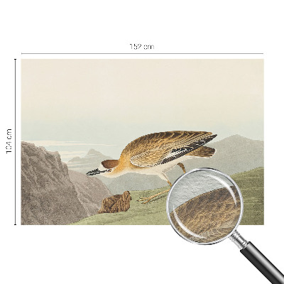 Fototapet pe perete Act senzual