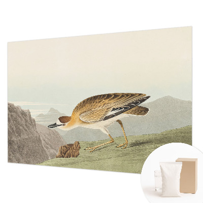 Fototapet pe perete Act senzual