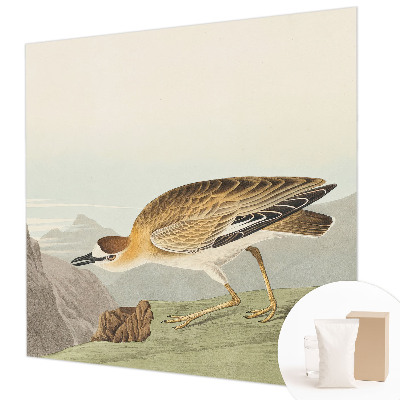 Fototapet pe perete Act senzual