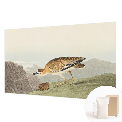 Fototapet pe perete Act senzual