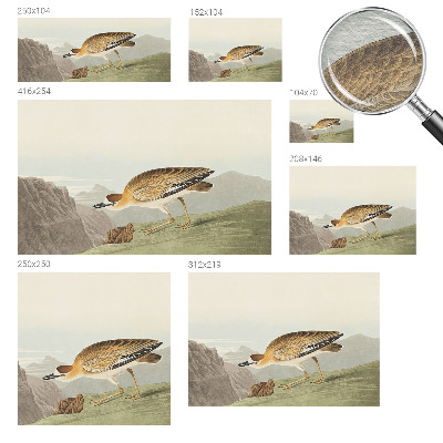 Fototapet pe perete Act senzual