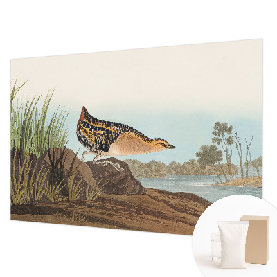 Tapet foto Apă turcoaz